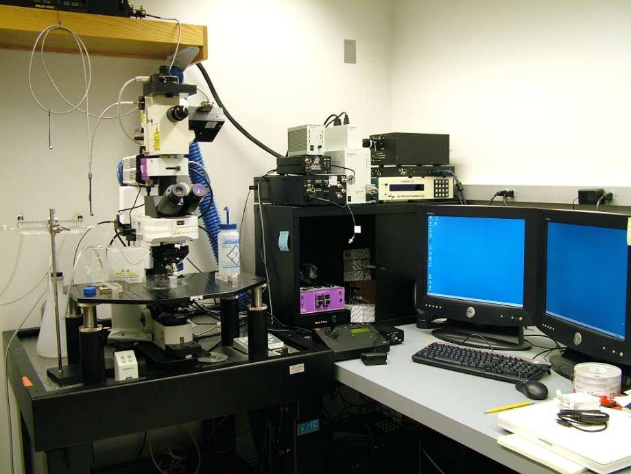 fibrin deposition (clot formation) is monitored over time Argon-Krypton Laser WIDEFIELD Image Intensifier CCD camera CONFOCAL CCD camera Confocal Scanner Image