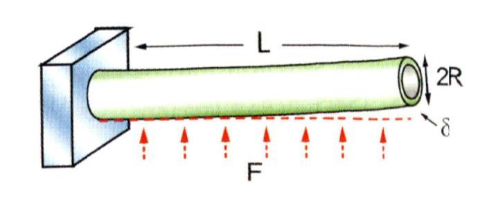 Longherone dell ala dell aliante: Lega di alluminio L = 4 m sezione circolare: 2R = 140 mm t = 6 mm