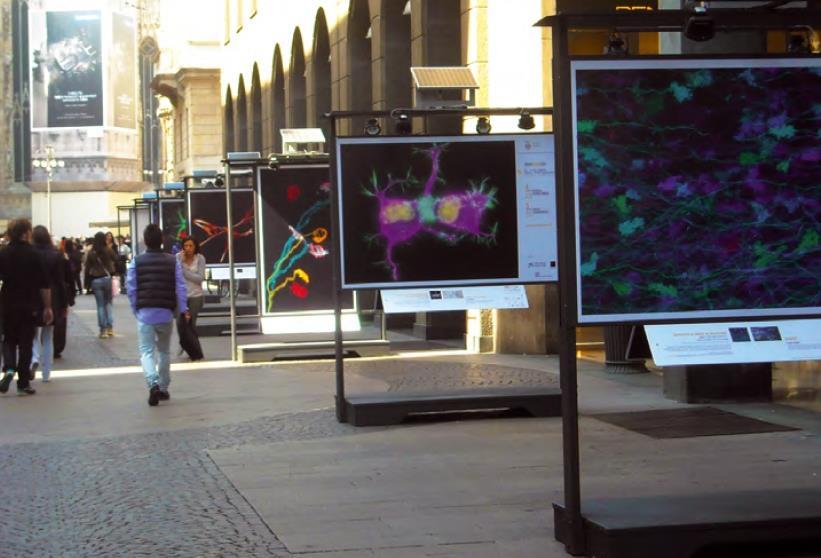 Mostra fotografica in Corso
