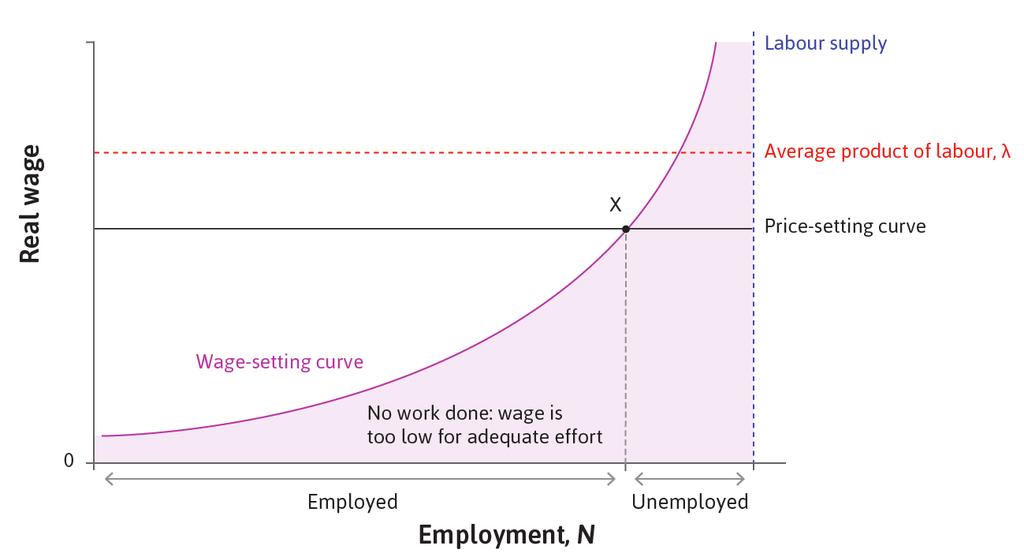 L equilibrio sul mercato del lavoro La curva di fissazione del prezzo e la curva di fissazione del salario