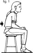 CAPITOLO 4 ESERCIZI FISICI La tendenza ad attività sedentarie e l assunzione di posture forzate, registrabili in molti rami della nostra società (es.