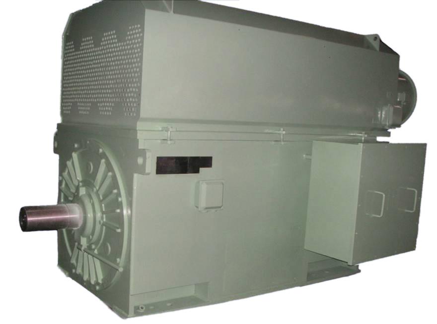 2-6 P Frame: H355-H1000 Power: 185-5000 kw Protection class: IP44, IP54, IP55 Installation type: B3 Cooling method: IC611, IC616 Serie HV-YVKK motori asincroni trifase a media tensione HV-YVKK series