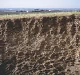 La formazione e l evoluzione del suolo richiedono tanto