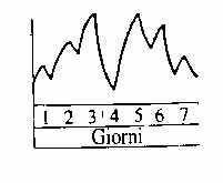 microciclo con