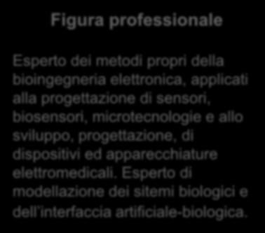 TECNOLOGIE ELETTRONICHE (BTE) Figura professionale