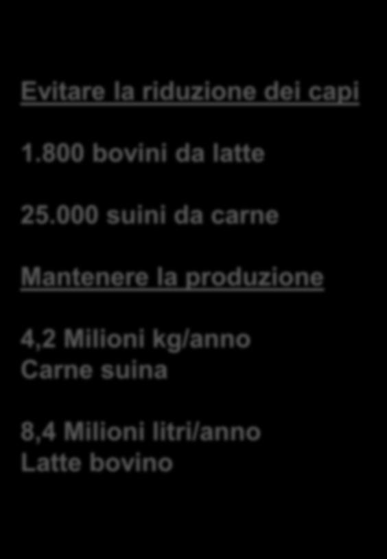 produzione 4,2 Milioni kg/anno