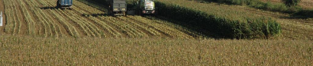 Coltivazioni cerealicolo-foraggere