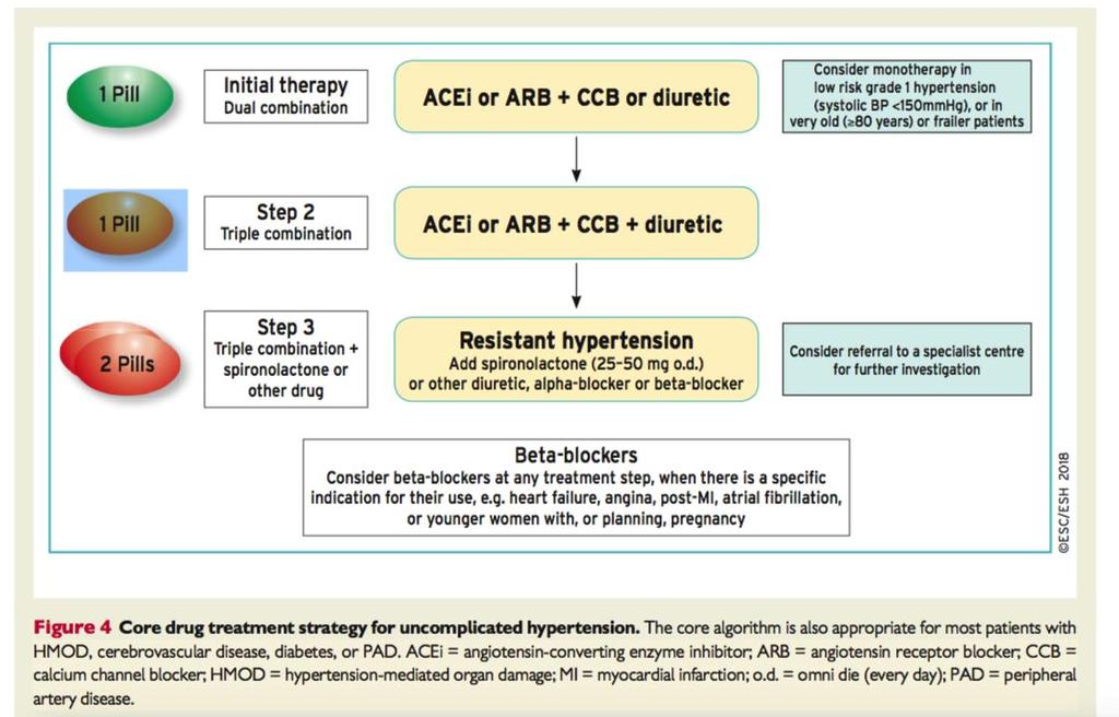 Ipertensione arteriosa: trattamento farmacologico ESC