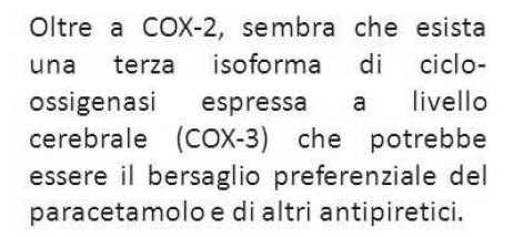 Il PARACETAMOLO non è un FANS I FANS in base al loro meccanismo d azione
