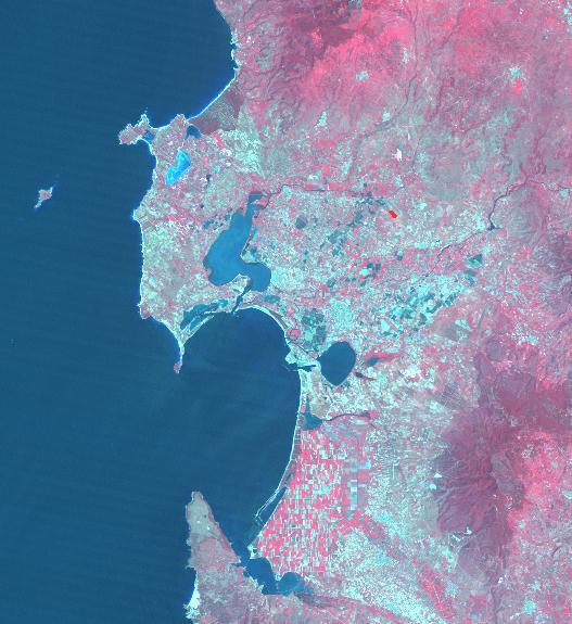 In particolare: Landsat 5 (1990) le aree risicole di Oristano quelle bovine da latte di Arborea e