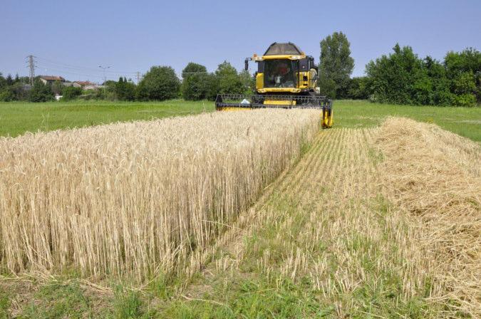 nelle produzioni agricole»