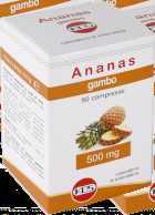 1 compressa 4 compresse Ananas gambo 500 mg 2000 mg 11,00 9 7 0 1 4 8 8 6 8 Baobab 50g Effetti fisiologici di baobab frutto: funzionalità articolare, azione di sostegno e