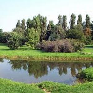 Scena Parco - esterno - giorno Un bel parco verde, tranquillo e soleggiato, isolato dal trambusto della città.