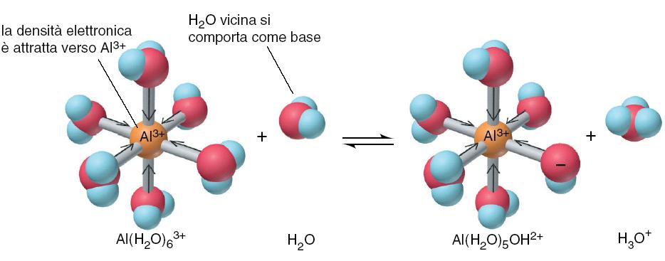 Acidità di cationi metallici: Al 3 + L idrolisi degli ioni alluminio idratati produce ioni H 3 O +.