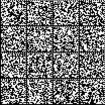 Concentrazione relativa:. 2.2.2.1.8. Substrato (struttura e materiale):. 2.2.2.1.9. Densità delle celle:.. 2.2.2.1.10. Tipo di rivestimento dei convertitori catalitici:. 2.2.2.1.11.