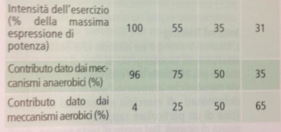 CONTRIBUTO DEI MECCANISMI AEROBICI E ANAEROBICI