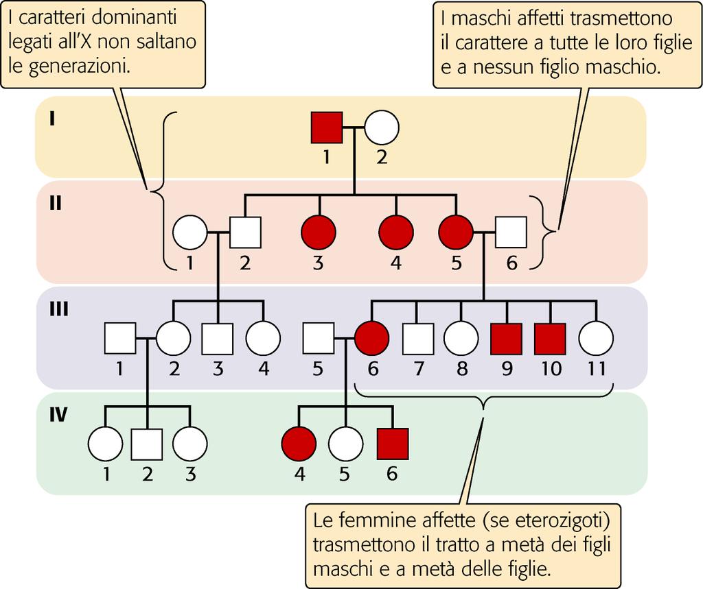 EREDITA