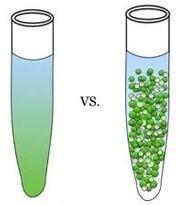 I Principi della Droplet Digital PCR È una nuova tecnologia emergente che partiziona il campione in migliaia di piccole goccioline (droplet) indipendenti dividendo le molecole di acido nucleico in