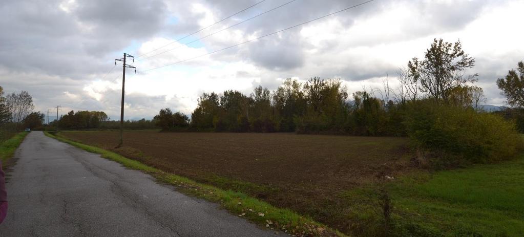 L ambito è di pianura, con prevalenza di usi agricoli a seminativo e vegetazione in evoluzione tendente alla boscaglia.