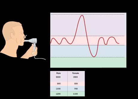 SPIROMETRIA La spirometria è l esame che valuta il funzionamento del nostro apparato respiratorio.