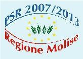 REGIONE MOLISE Direzione Generale della Giunta AREA II