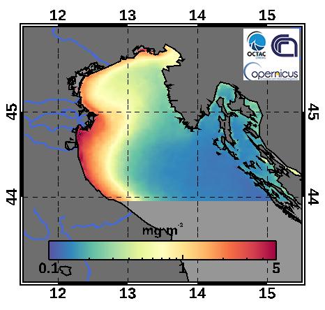 Per quanto riguarda i carichi da fonti fluviali, i carichi seguono l andamento del ciclo di portata idrologica senza discostarsene in modo significativo.