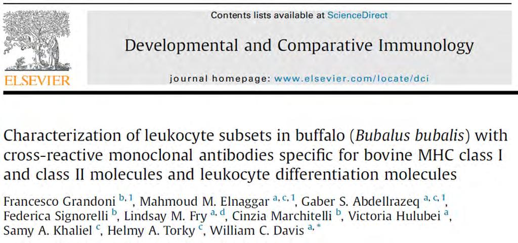 il subset γδ e delle cellule NK Ø Migliore descrizione della risposta immunitaria del bufalo ai patogeni e ai parassiti Ø