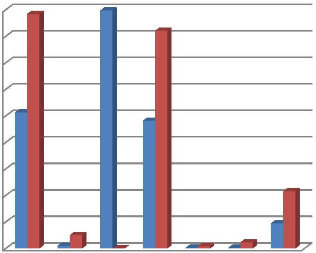 SEDE 45,00 40,00 35,00 30,00 25,00 20,00 15,00 10,00 5,00 - INFORMAZIONI SITO WEB O SEDE FUNZIONALITA' E ACCOGLIENZA Qui di seguito la tabella riassuntiva, nella