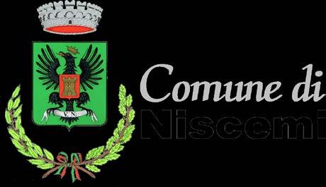 Codice fiscale:82002100855***partita IVA:00374860856 Sito del Comune : http://www.comune.niscemi.cl.