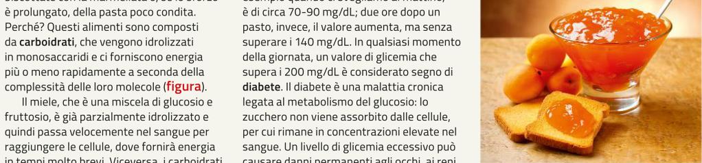 medicina La glicemia è il valore della concentrazione di glucosio nel sangue La glicemia è controllata da tutti i tessuti in modo più o meno diretto tra questi: La glicemia è controllata da tutti i