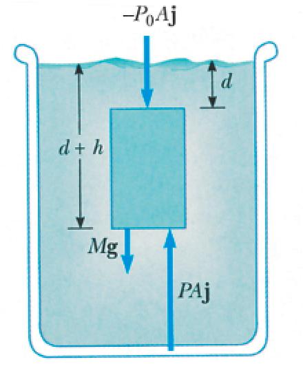 Pressione idrostatica La pressione in un fluido aumenta con la profondità. E una naturale conseguenza della condizione di equilibrio delle forze su di un fluido.