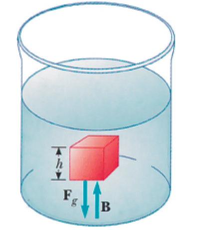 Legge di Archimede Un corpo immerso in un fluido riceve una spinta pari al peso del liquido spostato. E un ovvia conseguenza delle leggi dell equilibrio statico.