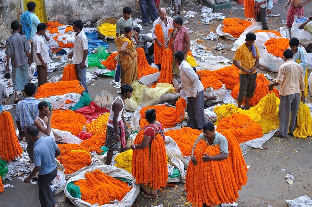 In aggiunta a questo già interessante percorso, la scoperta, all inizio e alla fine del viaggio, delle due megalopoli di Calcutta e Bombay.