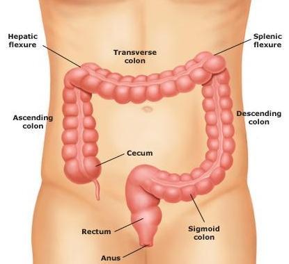 Distribuzione % dei casi suddivisi per sesso e sottosede 3,2% 3,0% 4,7% 5,5% 2,9% 2,5% 14,0% 8,9% 16,7% 9,1% 7,2% Rectosigmoid junction 7,8%