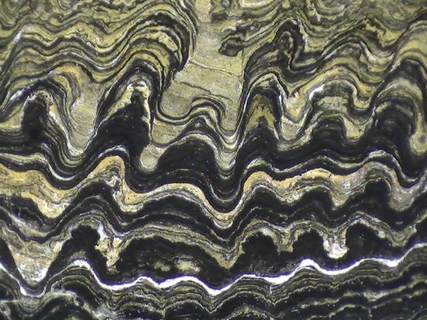 STROMATOLITI Stromatoliti Nel calcare massiccio