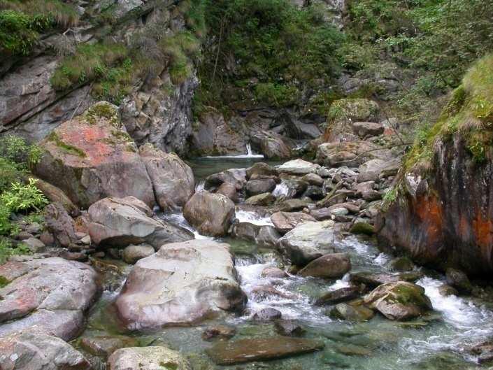 scorrimento Torrent du Bois