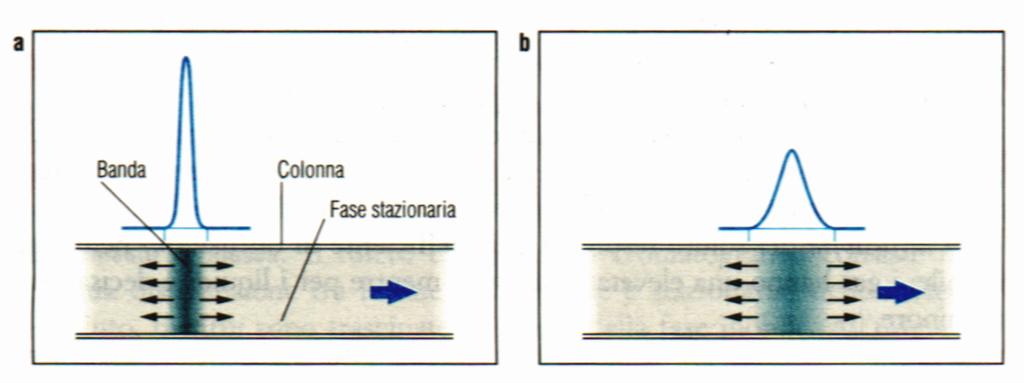 B: Diffusione