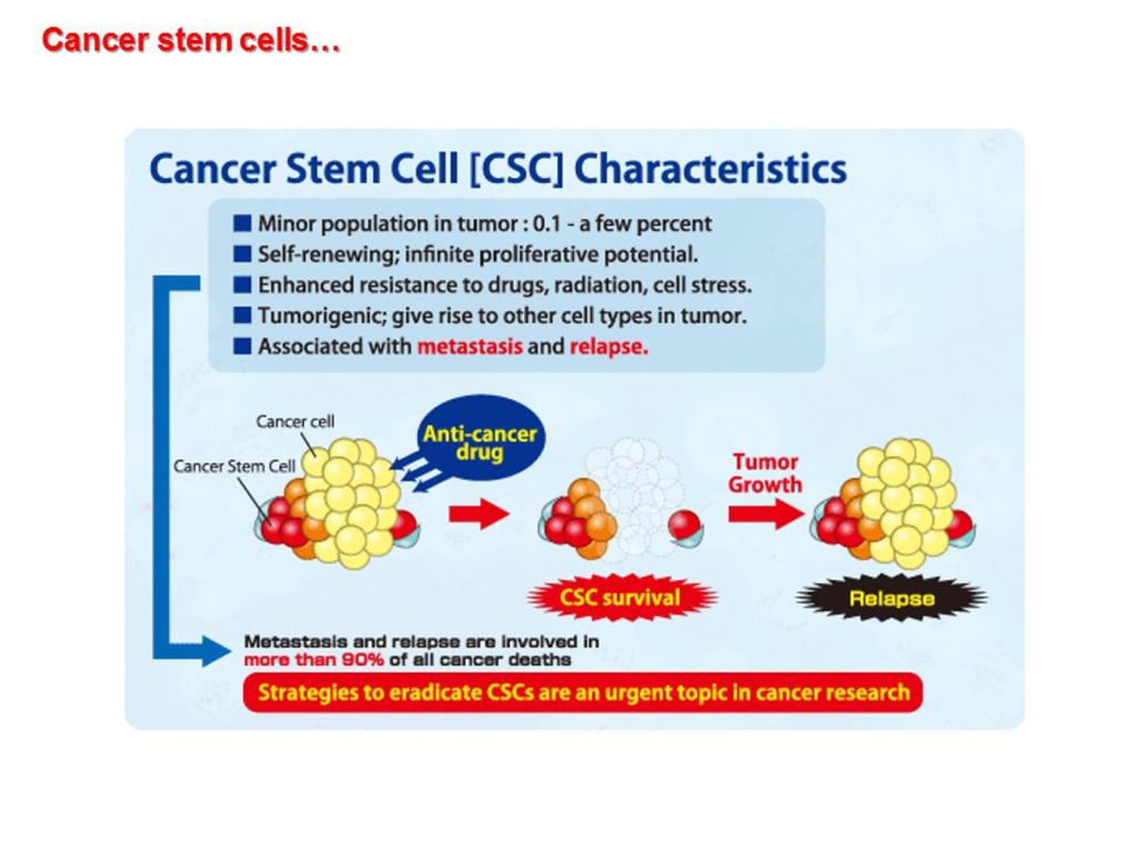 Le cellule staminali