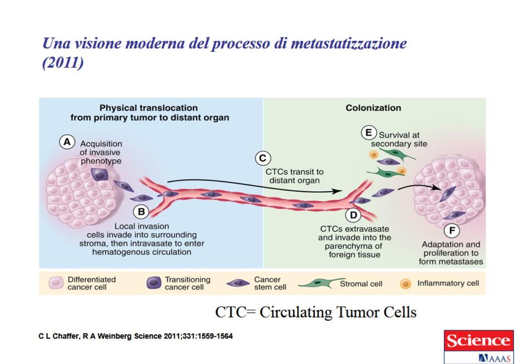 Le cellule tumorali circolanti