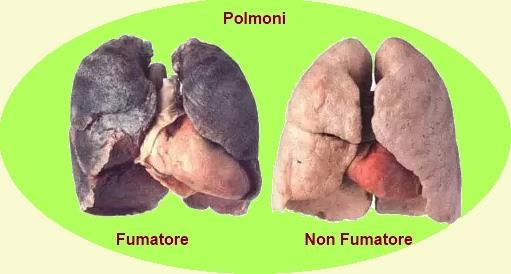 idrocarburi policiclici aromatici La loro formazione avviene nel corso di combustioni incomplete di combustibili fossili, legname, grassi, fogliame, incenso e composti organici in generale, quali