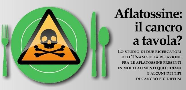 aflatossine condizioni ambientali: alta umidità e temperature, che favoriscono l attacco fungino sulle specie vegetali; mancanza di azioni