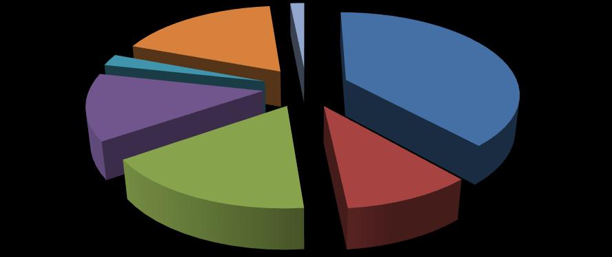 2% Sportello di accesso 18% 2% 38% 13% 17% 10% Municipio 1 Municipio 2 Municipio 3