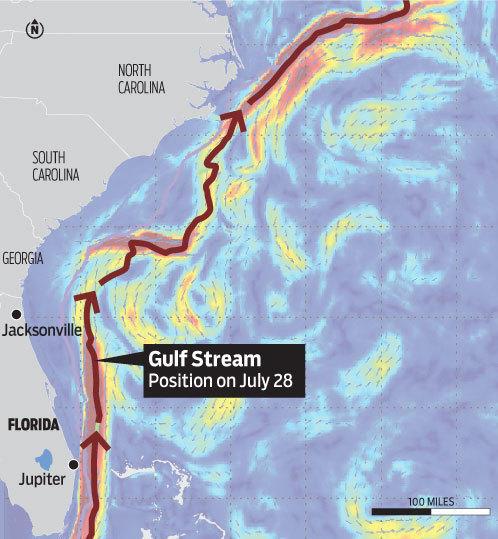 Corrente del Golfo del 29.07.2015 Si è parlato spesso della Corrente del Golfo e del suo reale stato.