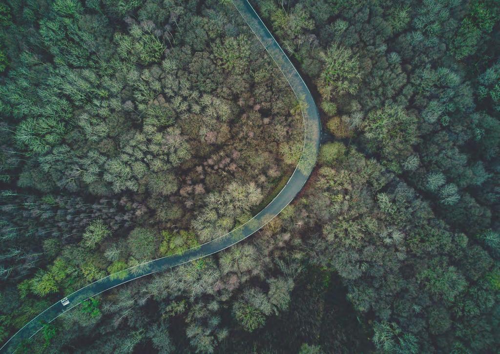 PIANO DI MOBILITÀ COMPRENSORIALE E CENTRALE DI MOBILITÀ DI CADENAZZO GAMBAROGNO