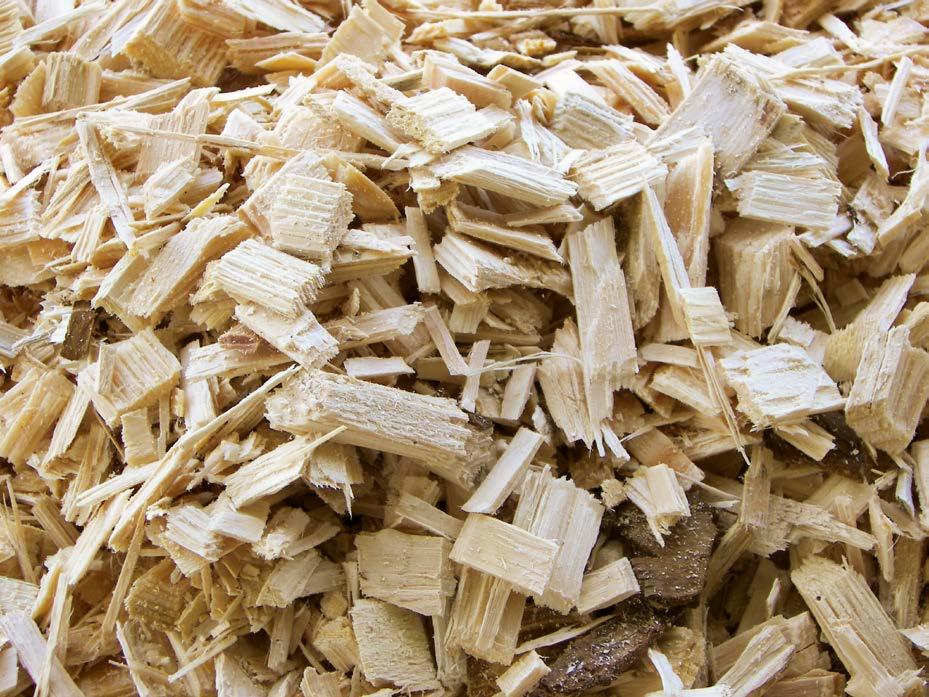 Cippato Il cippato è legno ridotto in scaglie, con dimensioni variabili da