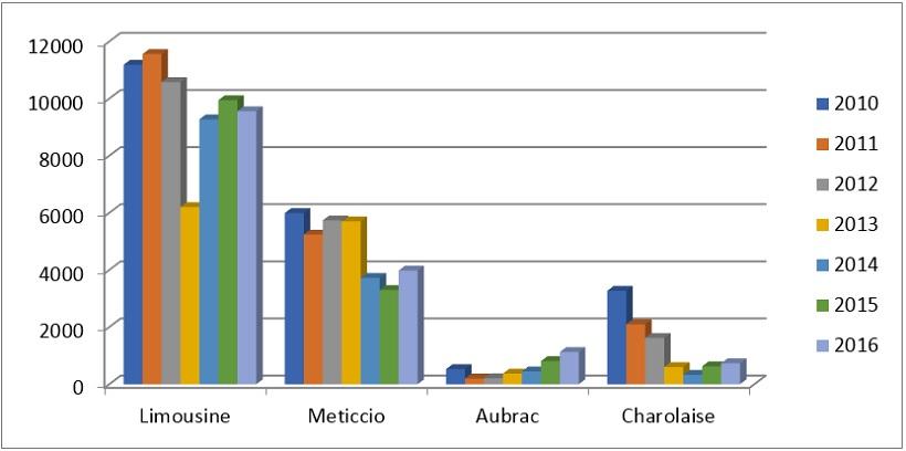 La razza Charolaise, di origine francese, in passato terza per numero di capi importati, ha evidenziato una forte diminuzione, passando da 3.269 capi nel 2010 a 730 nel 2016 (fig. 5). Figura 5.