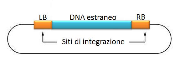 Trasformazione