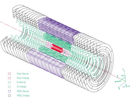 Microstrips Pixels Drift Tube