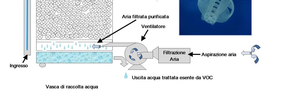 (strippaggio) 7 Si fa