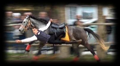 Elisabetta FARINELLA 347-1644791 DATI Per i criteri di ammissione dei cavalli, qualifica cavalieri, norme veterinarie e tecniche verrà applicato il regolamento Endurance F.I.S.E. in vigore dal 22 MARZO 2016.